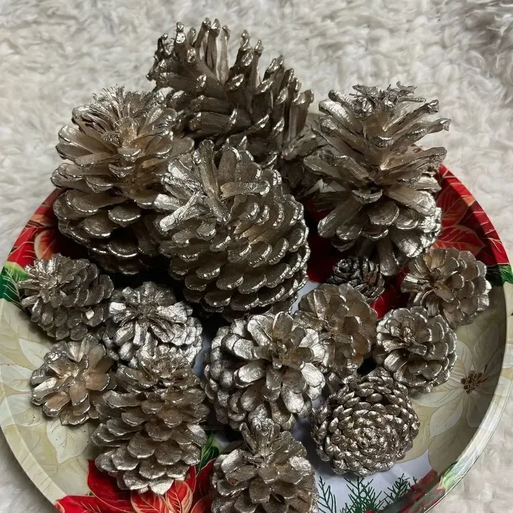 Set of 14 silvery gold Pine Cones 4,3,2” for Holiday Home Decor